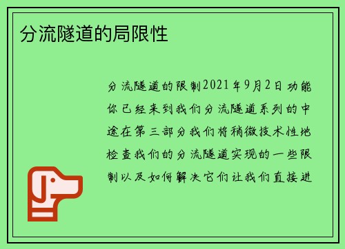 分流隧道的局限性 